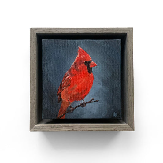 Northern Cardinal no. 2