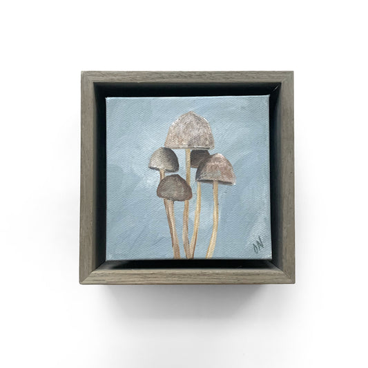 Mushroom Study